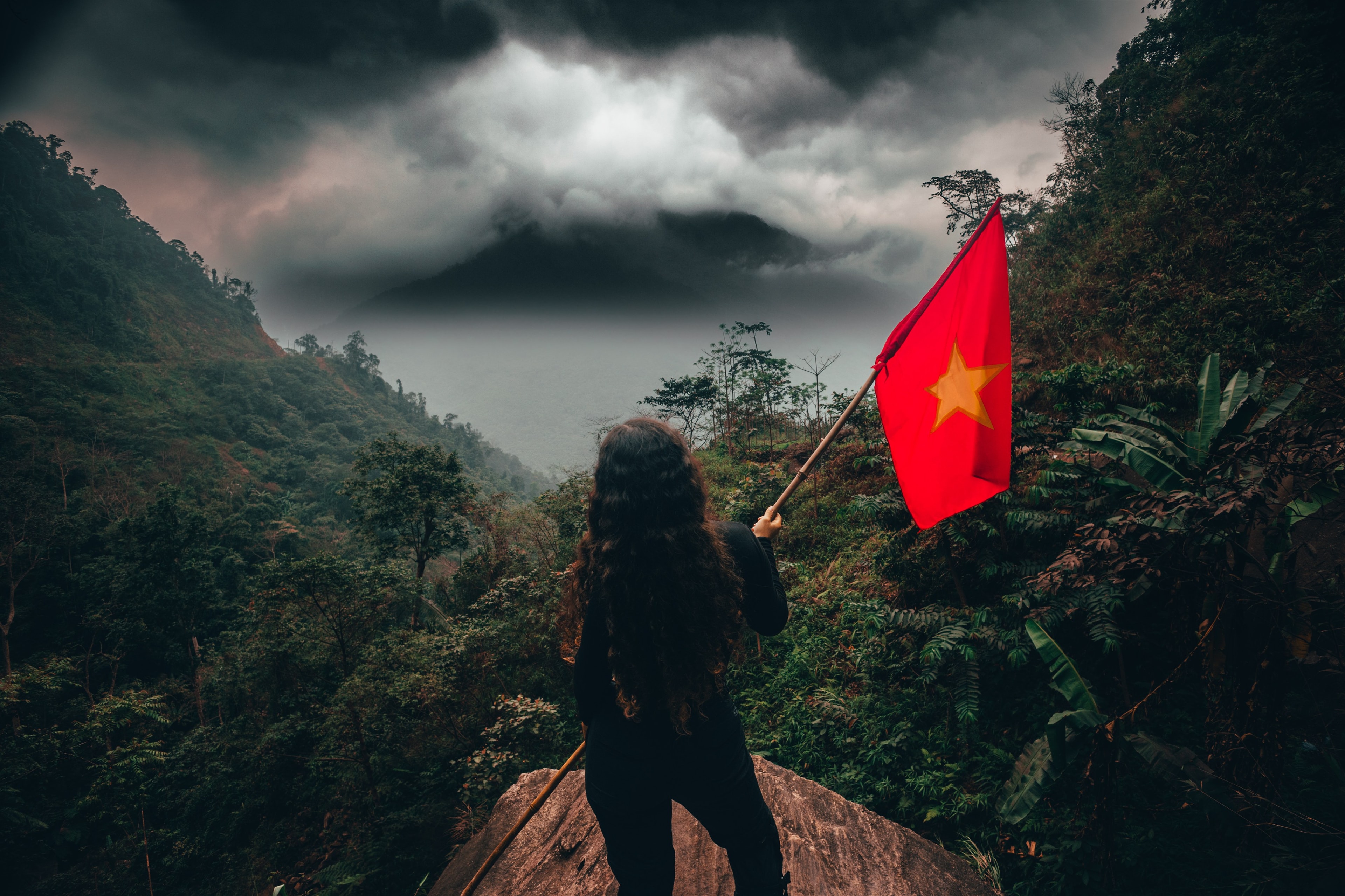 A figure seen from behind waving a Vietnamese flag over a jungle valley under storm clouds.